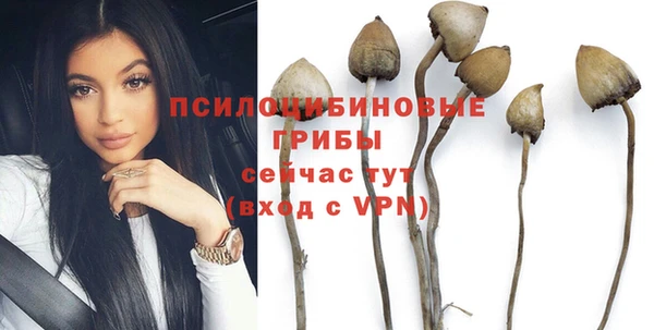 мдпв Нефтегорск
