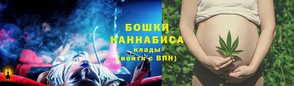 стаф Нефтекумск