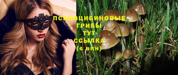 мет Нея
