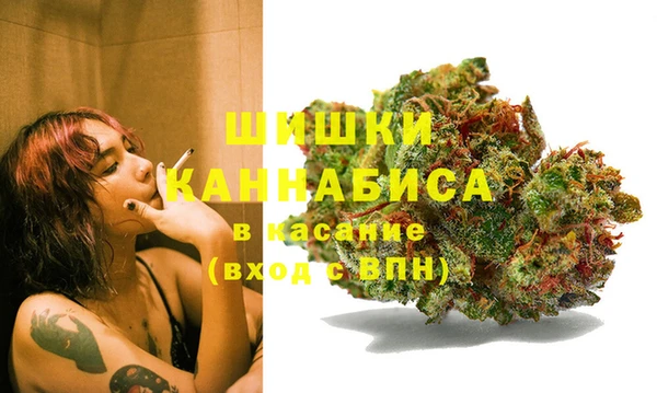 стаф Нефтекумск