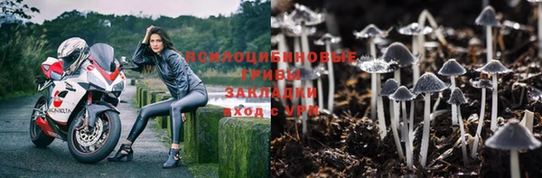 мет Нея